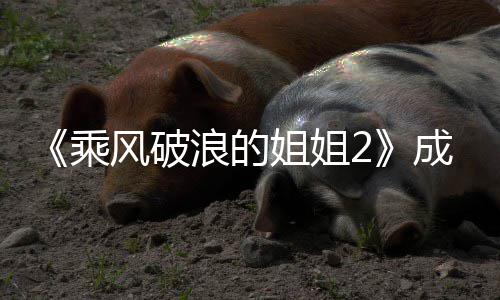 名单名浪的浪员排都有风破分别团人乘成团成谁 姐姐姐2