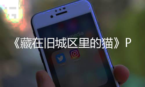 猫里的流下版下版分在旧载 m正载藏城区