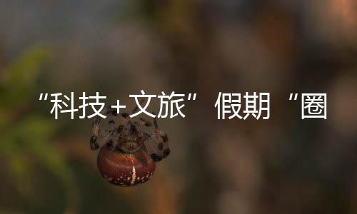 鹏城科客 ，一期圈粉全体验座沉文旅国游场赛博技假浸式