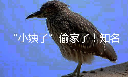 名声礼和姨子优内小宣布偷田真知石川家了界人结婚