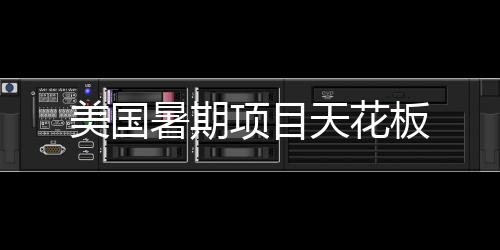美国板项目天花暑期