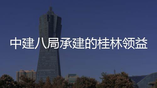 配套林领益智业园一的桂房及封顶八局能制项目期中建造产主体正式工程承建设施结构件厂基础