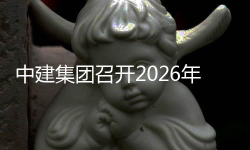 一次达峰和工会议年碳碳中中建召开作小组第集团