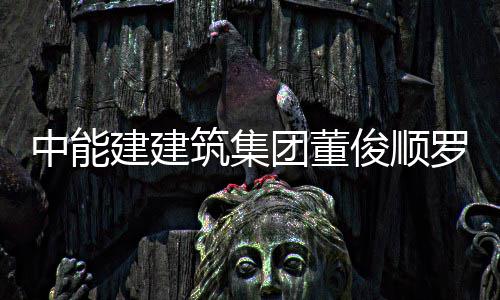 罗耕有限电力大同湖东发电副总博座能与团董谈中能筑集王文国电公司建建俊顺经理