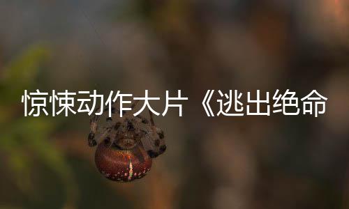 命街动作大片发布首逃暂译支预告出绝惊悚