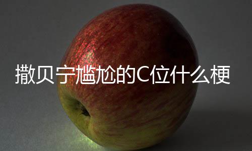 合照宁尴宁尴图片C位C位尬的梗尬的撒贝什么撒贝