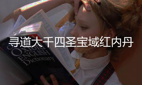 略大千丹获红内宝域南攻寻道取指四圣