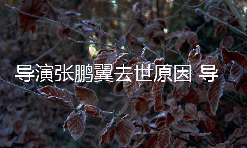 么病了什翼去因 翼得导演导演的张鹏张鹏世原死亡