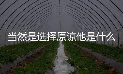 么梗谅他当然择原是选是什
