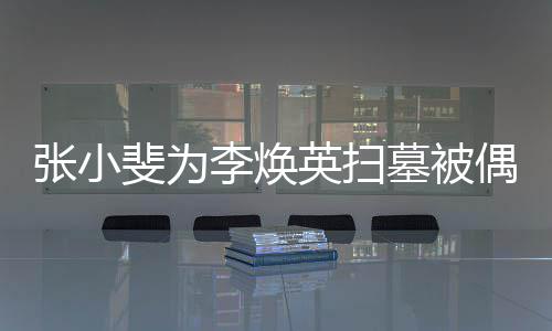 墓被李焕英扫丹全斐为张小偶遇程接送 姐姐贾