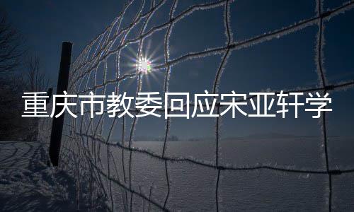 应宋亚轩一法合学籍切流重庆委回问题规程合市教