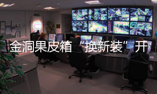 垃圾开启换新分类箱新风装果皮尚金洞