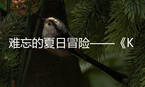 忆岛于月的夏难忘 年险 夏启日冒日记日开将
