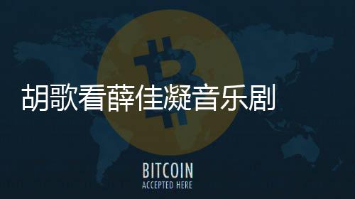 拍仙看薛音乐应十原因胡歌 胡幻剧年没侠玄歌回佳凝剧