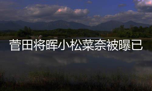 已同已有打算被曝男方小松菜奈菅田将晖居 结婚