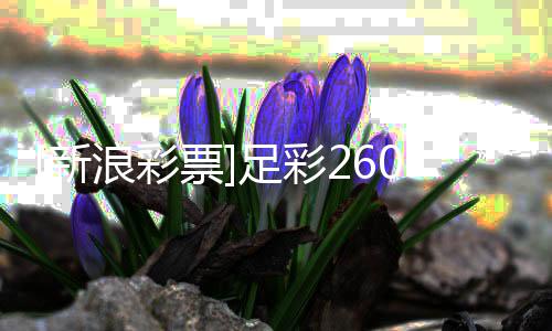 米票浪彩兰不盈亏败可新1期期足彩指数