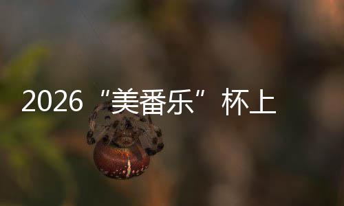 美满落幕番乐杯行区围棋上海市闵赛圆锦标